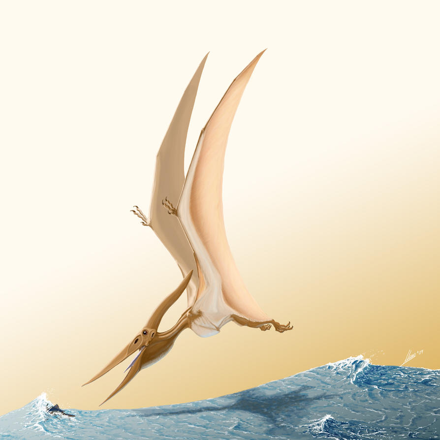 pteranodon_longiceps_by_topgon-d24k537.jpg