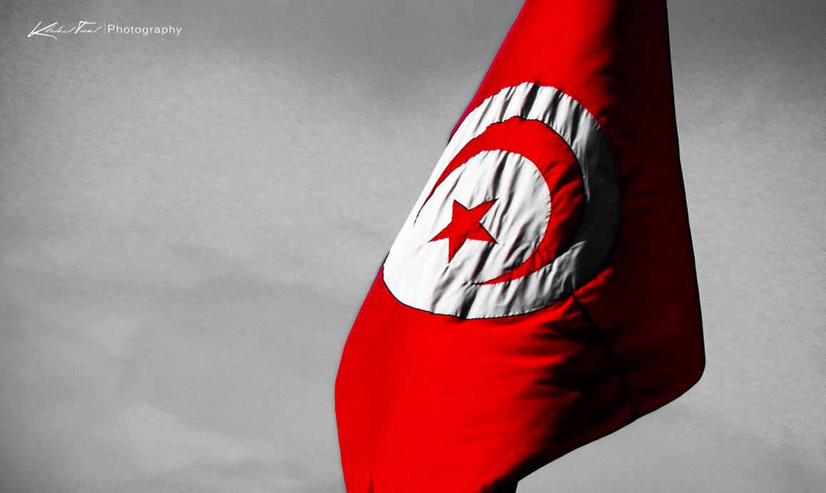 [Image: tunisian_flag_by_dominiquekt-d4skbj8.jpg]