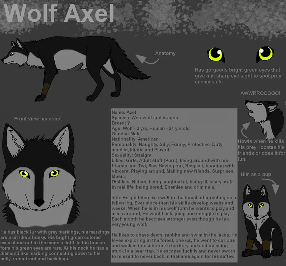 Bild zu Wolf Axel