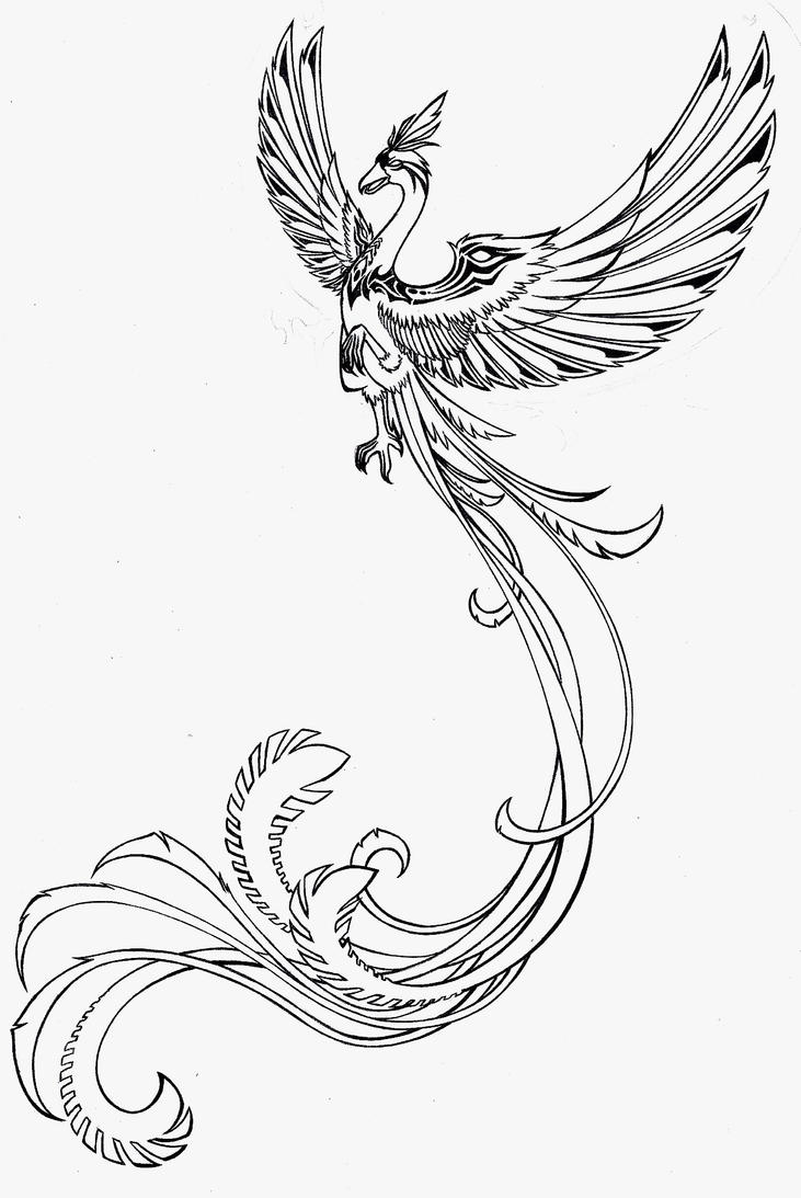 Phoenix Tattoo by