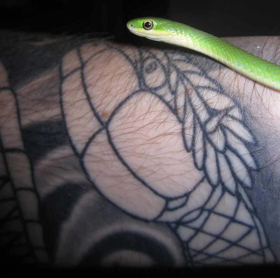 snake tattoo reflection by