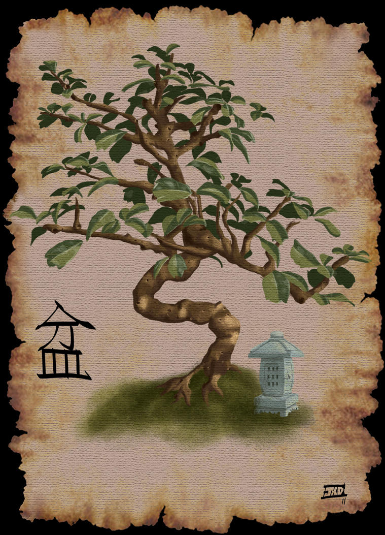 Bonsai Tree by Jeff-Drylewicz on deviantART