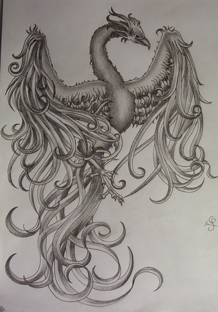 phoenix tattoo design by