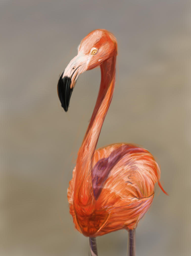 [Image: flamingo_speedpaint_by_leia1987-d4vexas.jpg]