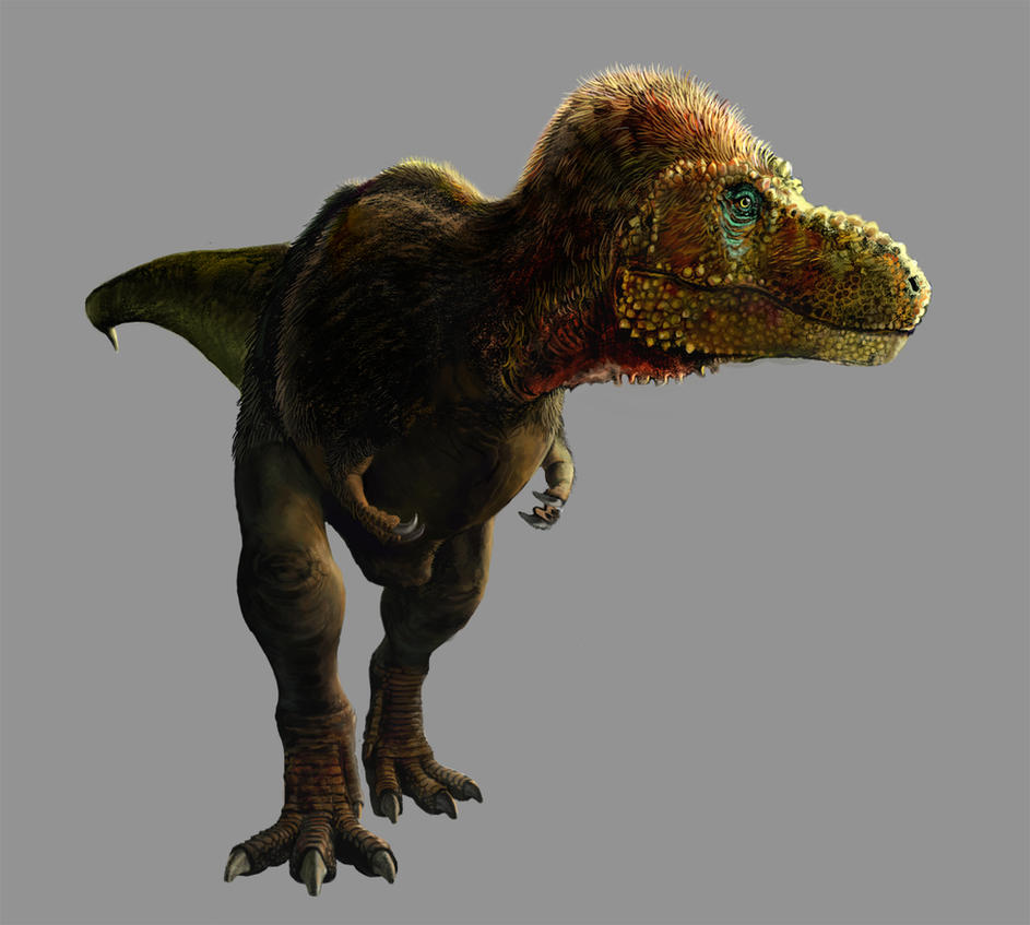 Tyrannosaurus rex by pheaston