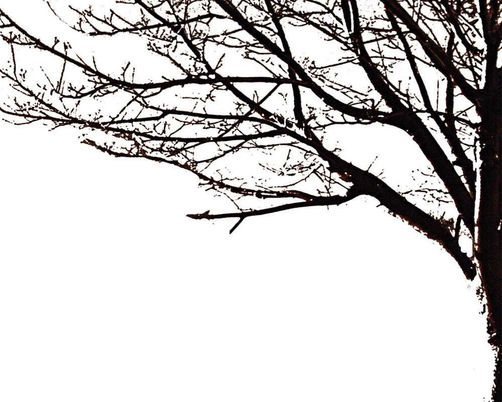 clip art free tree silhouette - photo #46