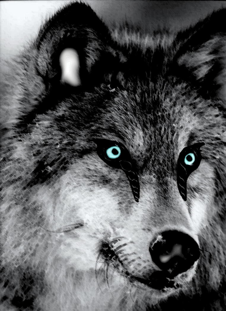 wolf by fenrir-muse on DeviantArt